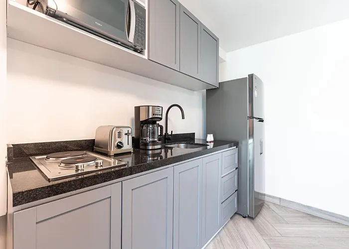 Apartment Homero 538: Equipados En Polanco *